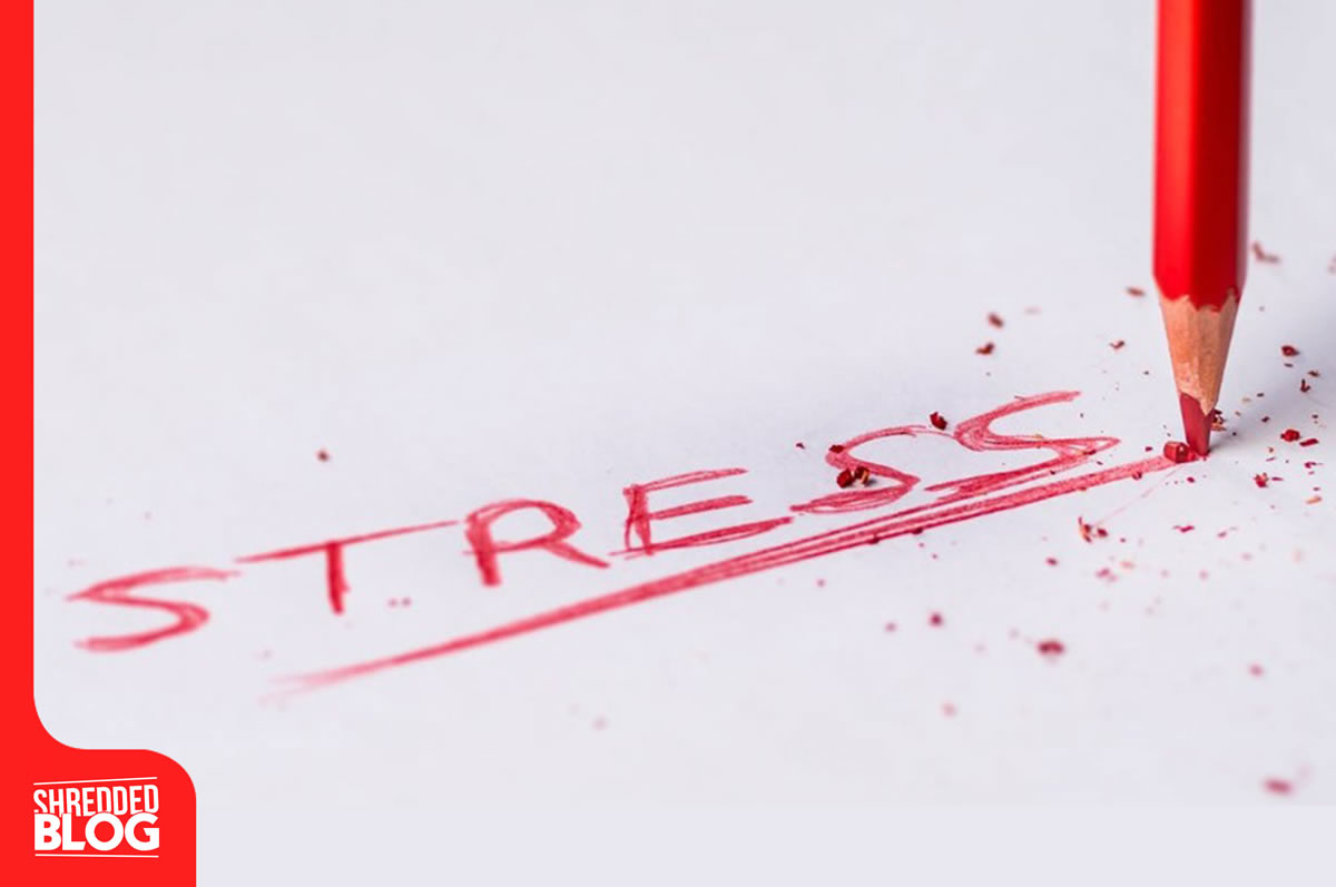 Stresle başa çıkabilmek için bedeni sağlıklı ve zinde tutmayı nasıl sağlarız ? main blog image
