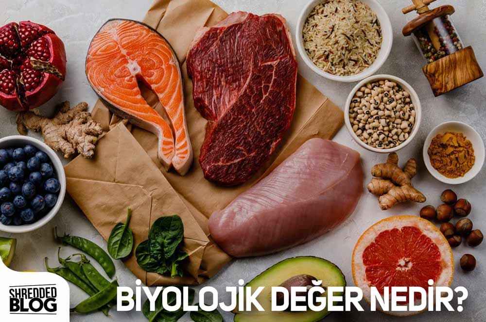 Biyolojik Değer Nedir? main blog image