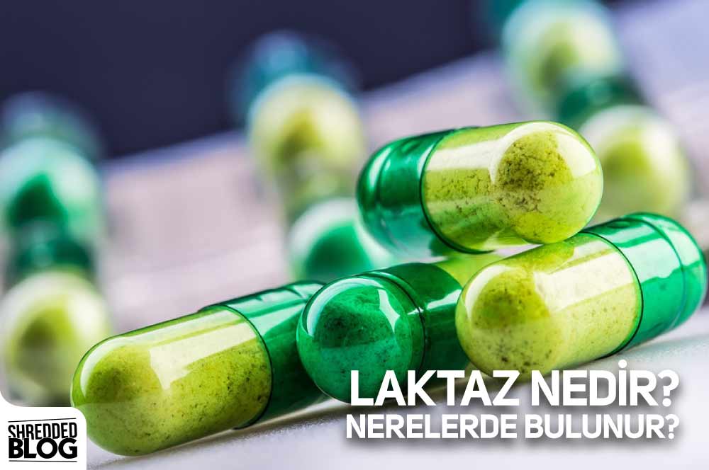 Laktaz Nedir? Nerelerde Bulunur? main blog image