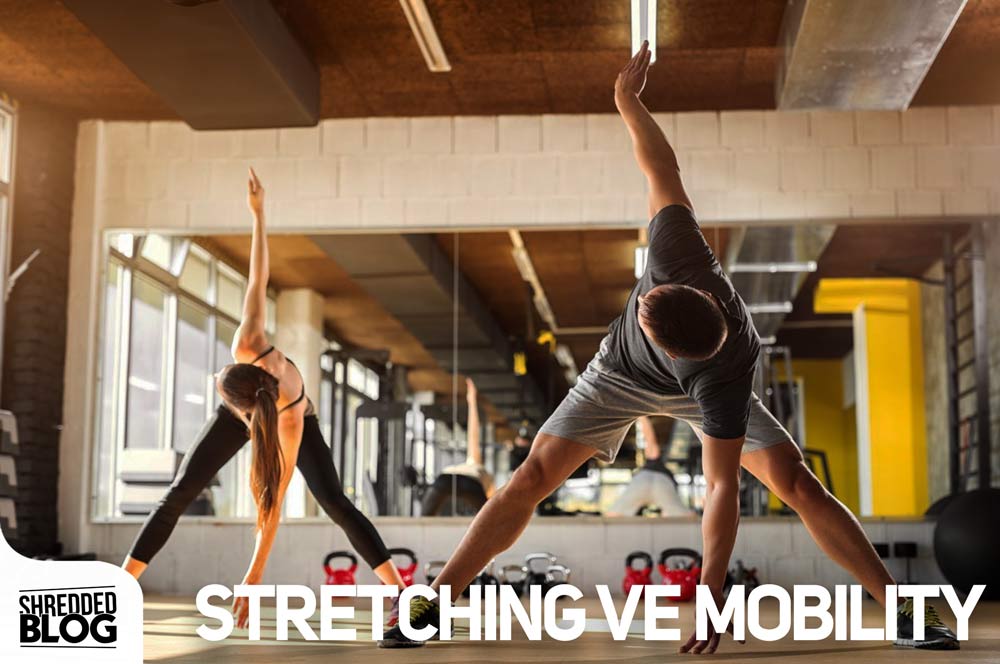 Stretching ve Mobility main blog image