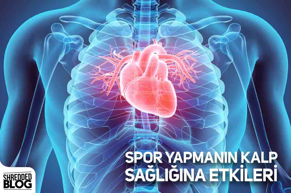 Spor Yapmanın Kalp Sağlığına Etkileri main blog image