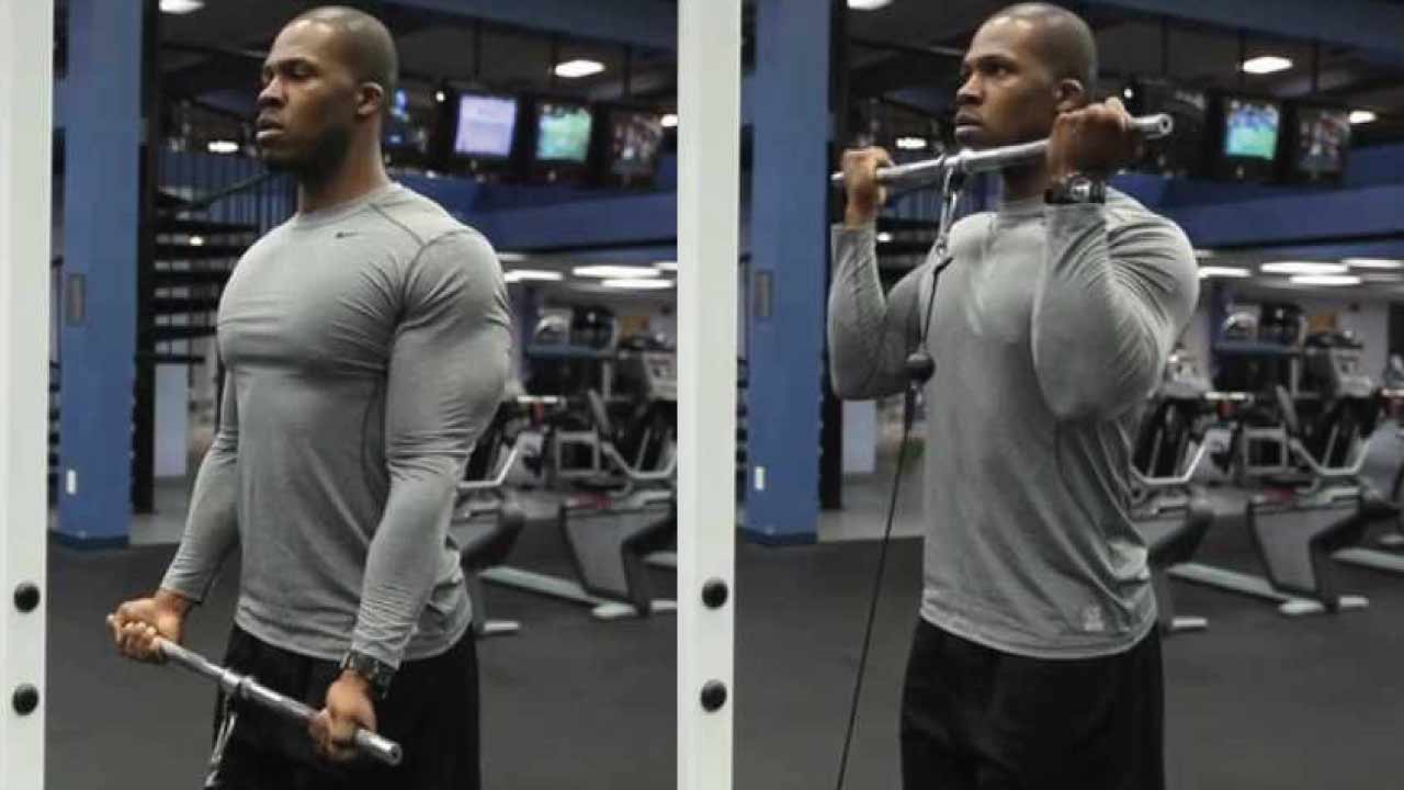 biceps_gelişimi_ve_hareketleri_8(3)