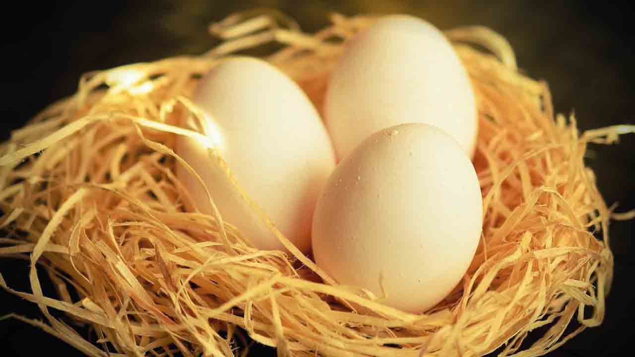 metabolizmayı_hizlandiran_besinler_9