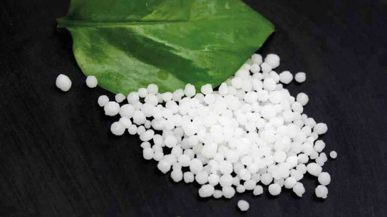 pre-workout_cesitleri_6